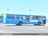Taguatur - Taguatinga Transporte e Turismo 04316 na cidade de Taguatinga, Distrito Federal, Brasil, por Wagnner Castro. Número da foto: #6876141.