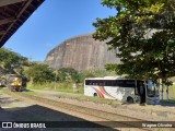 Paraibuna Transportes 20026 na cidade de Simão Pereira, Minas Gerais, Brasil, por Wagner Oliveira. Número da foto: #6879517.