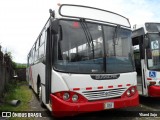 Autobuses sin identificación - Costa Rica 00 na cidade de Siquirres, Siquirres, Limón, Costa Rica, por Yliand Sojo. Número da foto: #:id.