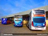 Jaquetur 31 na cidade de Indaial, Santa Catarina, Brasil, por Reinaldo Gonçalves. Número da foto: #6886371.