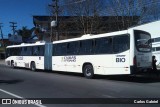 Visate - Viação Santa Tereza 810 na cidade de Caxias do Sul, Rio Grande do Sul, Brasil, por Carlos Gabriel. Número da foto: #6889302.