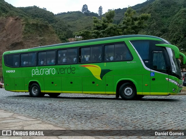 Pássaro Verde 11093 na cidade de Ouro Preto, Minas Gerais, Brasil, por Daniel Gomes. Número da foto: #6890327.