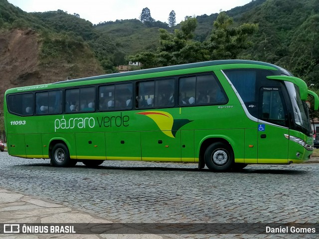 Pássaro Verde 11093 na cidade de Ouro Preto, Minas Gerais, Brasil, por Daniel Gomes. ID da foto: 6890327.