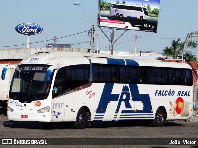 Falcão Real 23180 na cidade de Feira de Santana, Bahia, Brasil, por João Victor. Número da foto: #6891280.