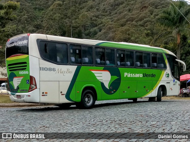 Pássaro Verde 11086 na cidade de Ouro Preto, Minas Gerais, Brasil, por Daniel Gomes. ID da foto: 6890332.