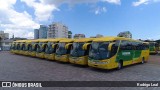 Expresso Caxiense 7190 na cidade de Caxias do Sul, Rio Grande do Sul, Brasil, por Rodrigo Leal. Número da foto: #6892782.