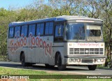 Banda Paixão Nacional 2350 na cidade de Indaial, Santa Catarina, Brasil, por Reinaldo Gonçalves. Número da foto: #6893479.