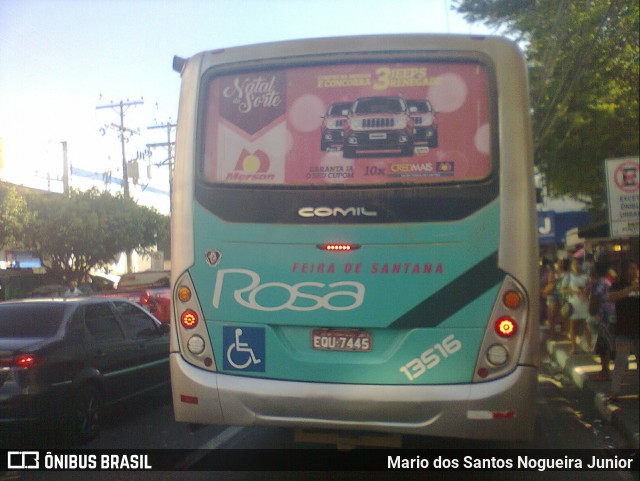Rosa Feira de Santana 13516 na cidade de Feira de Santana, Bahia, Brasil, por Mario dos Santos Nogueira Junior. Número da foto: #6895917.
