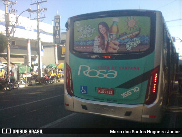 Rosa Feira de Santana 15570 na cidade de Feira de Santana, Bahia, Brasil, por Mario dos Santos Nogueira Junior. ID da foto: 6897948.