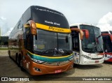 Pevidor Transportes P-20101829 na cidade de Aparecida, São Paulo, Brasil, por Vicente de Paulo Alves. Número da foto: #6895292.