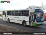 Baiano Transportes 008 na cidade de Caruaru, Pernambuco, Brasil, por Lenilson da Silva Pessoa. ID da foto: :id.