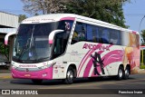 Empresa de Transportes Andorinha 7301 na cidade de Assis, São Paulo, Brasil, por Francisco Ivano. Número da foto: #:id.