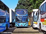 Transnorte - Transporte e Turismo Norte de Minas 87800 na cidade de Belo Horizonte, Minas Gerais, Brasil, por Douglas Yuri. Número da foto: #:id.