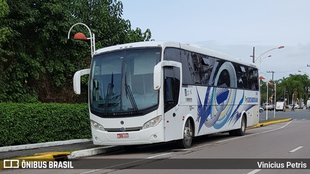 Catarinão Turismo 2000 na cidade de Joinville, Santa Catarina, Brasil, por Vinicius Petris. Número da foto: #6898616.