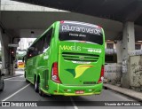 Pássaro Verde 19149 na cidade de Belo Horizonte, Minas Gerais, Brasil, por Vicente de Paulo Alves. Número da foto: #6898968.