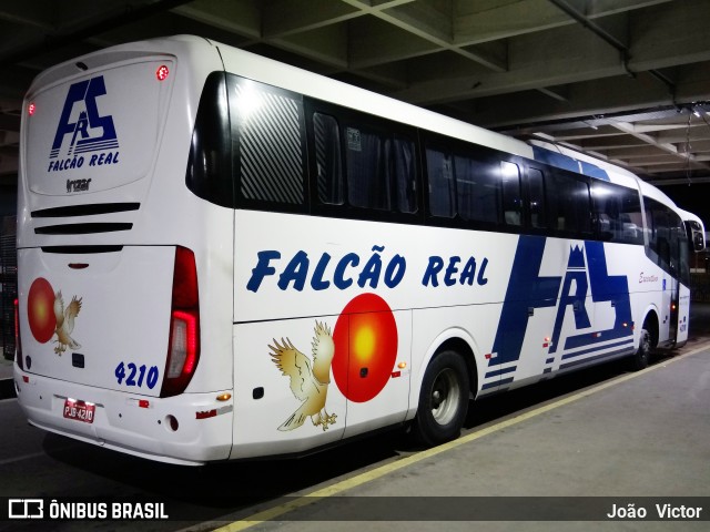 Falcão Real 4210 na cidade de Feira de Santana, Bahia, Brasil, por João Victor. ID da foto: 6901658.