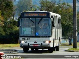 Araucária Transportes Coletivos 19L43 na cidade de Curitiba, Paraná, Brasil, por Gabrielle Gaspar. Número da foto: #:id.