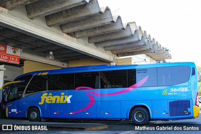 Rápido Expresso Fênix Viação 36025 na cidade de Jaguariúna, São Paulo, Brasil, por Matheus Gabriel dos Santos. Número da foto: #6904620.