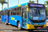 Rápido Expresso Fênix Viação 25174 na cidade de Jaguariúna, São Paulo, Brasil, por Matheus Gabriel dos Santos. Número da foto: #6904518.