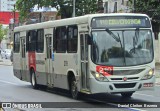 Borborema Imperial Transportes 219 na cidade de Recife, Pernambuco, Brasil, por Daniel Cleiton  Bezerra. Número da foto: #:id.