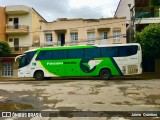 Pássaro Verde 1047 na cidade de Tarumirim, Minas Gerais, Brasil, por Jaime  Quintino. Número da foto: #6907022.