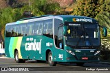 Auto Viação Cambuí 202 na cidade de Aparecida, São Paulo, Brasil, por Rodrigo  Aparecido. Número da foto: #6911131.