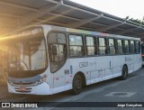 Tijuquinha - Auto Viação Tijuca C50211 na cidade de Rio de Janeiro, Rio de Janeiro, Brasil, por Jorge Gonçalves. Número da foto: #6914014.