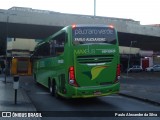 Pássaro Verde 19150 na cidade de Belo Horizonte, Minas Gerais, Brasil, por Paulo Alexandre da Silva. Número da foto: #:id.