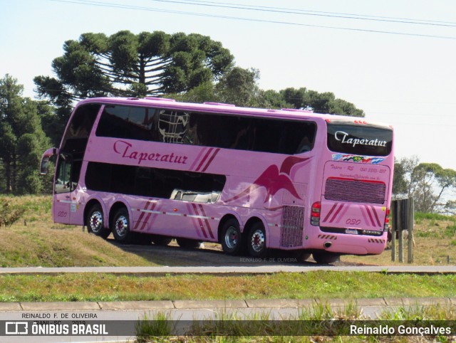 Taperatur 030 na cidade de Irani, Santa Catarina, Brasil, por Reinaldo Gonçalves. ID da foto: 6923245.