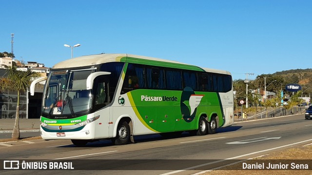 Pássaro Verde 11101 na cidade de Itabirito, Minas Gerais, Brasil, por Daniel Junior Sena. Número da foto: #6923614.