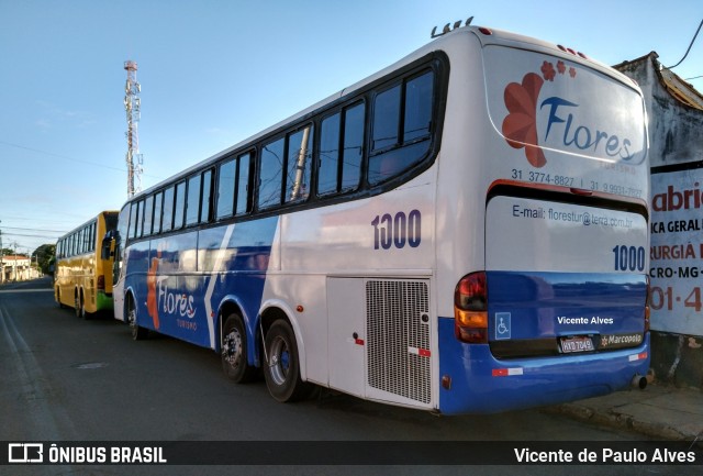 Flores Turismo 1000 na cidade de Araxá, Minas Gerais, Brasil, por Vicente de Paulo Alves. ID da foto: 6921555.