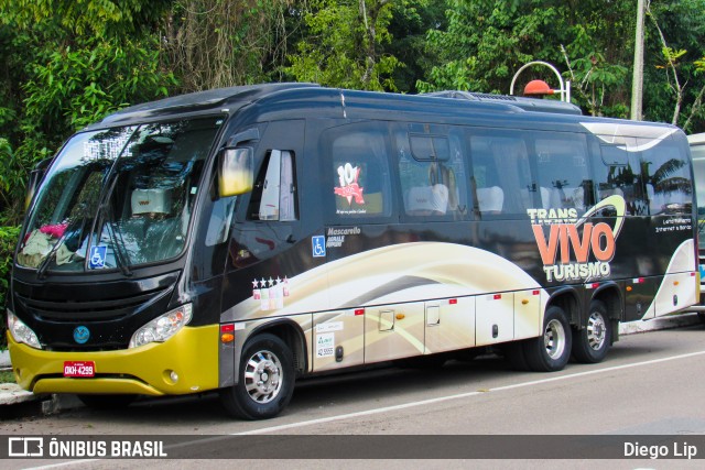 TransVivo Transportes e Turismo 4299 na cidade de Joinville, Santa Catarina, Brasil, por Diego Lip. ID da foto: 6921494.