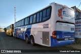 Flores Turismo 1000 na cidade de Araxá, Minas Gerais, Brasil, por Vicente de Paulo Alves. Número da foto: #6921555.