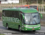 Auto Viação Catarinense 3346 na cidade de Aparecida, São Paulo, Brasil, por Rodrigo  Aparecido. Número da foto: #6923002.