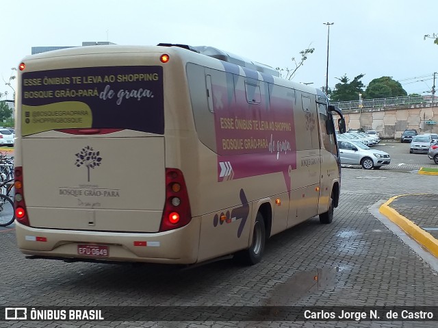 Fantasy Turismo Bosque Bus na cidade de Belém, Pará, Brasil, por Carlos Jorge N.  de Castro. ID da foto: 6925109.