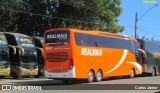 RealMaia Turismo e Cargas 1903 na cidade de Goiânia, Goiás, Brasil, por Carlos Júnior. Número da foto: #:id.