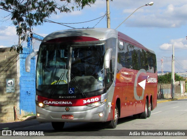 Expresso Gardenia 3480 na cidade de Belo Horizonte, Minas Gerais, Brasil, por Adão Raimundo Marcelino. Número da foto: #6856730.