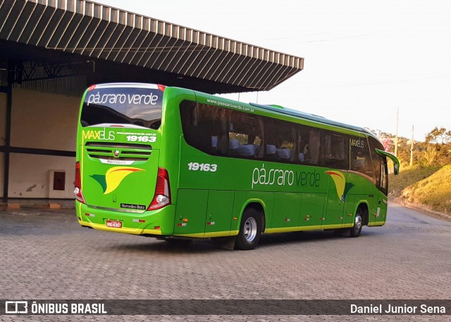 Pássaro Verde 19163 na cidade de Itabirito, Minas Gerais, Brasil, por Daniel Junior Sena. Número da foto: #6854648.