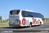 Mult Fretamento e Turismo 7000 na cidade de Campinas, São Paulo, Brasil, por Julio Medeiros. Número da foto: #:id.