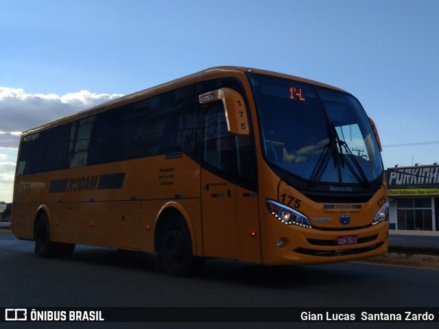 Rodam 175 na cidade de Ji-Paraná, Rondônia, Brasil, por Gian Lucas  Santana Zardo. Número da foto: #6926900.