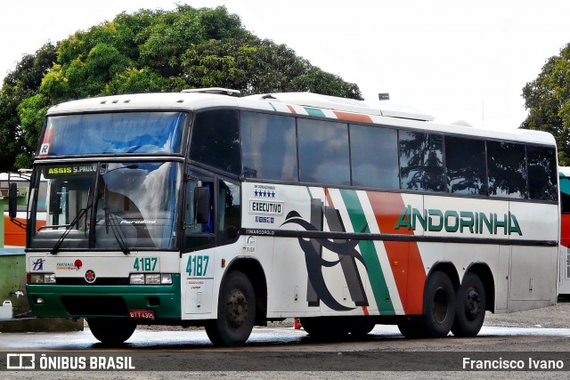 Empresa de Transportes Andorinha 4187 na cidade de Assis, São Paulo, Brasil, por Francisco Ivano. ID da foto: 6928516.