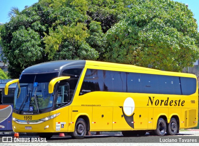 Viação Nordeste 1950 na cidade de Fortaleza, Ceará, Brasil, por Luciano Tavares. Número da foto: #6931222.