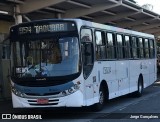 Tijuquinha - Auto Viação Tijuca C50224 na cidade de Rio de Janeiro, Rio de Janeiro, Brasil, por Jorge Gonçalves. Número da foto: #6932692.