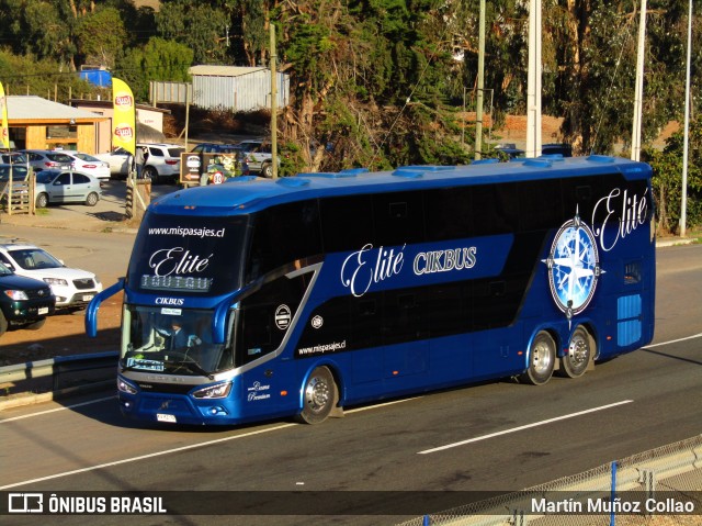 Ciktur  na cidade de Los Vilos, Choapa, Coquimbo, Chile, por Martín Muñoz Collao. Número da foto: #6860254.