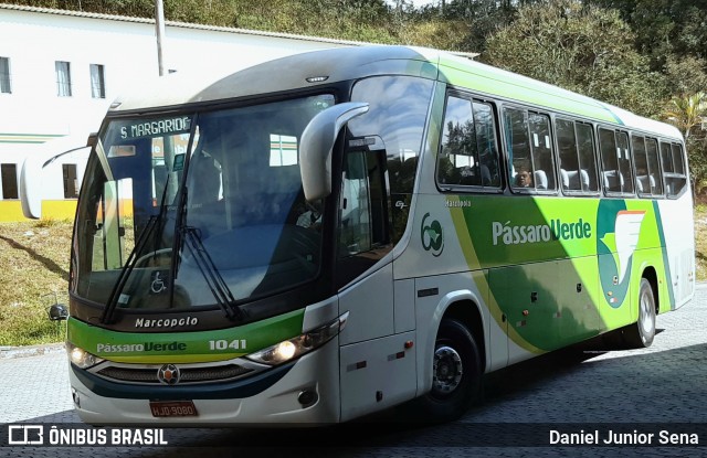 Pássaro Verde 1041 na cidade de Itabirito, Minas Gerais, Brasil, por Daniel Junior Sena. ID da foto: 6862310.