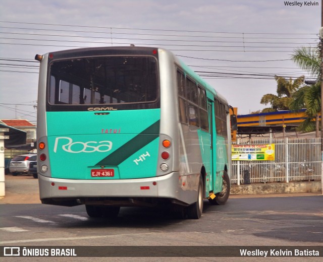 Rosa Turismo 1414 na cidade de Tatuí, São Paulo, Brasil, por Weslley Kelvin Batista. Número da foto: #6867769.