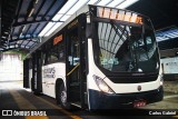 Visate - Viação Santa Tereza 245 na cidade de Caxias do Sul, Rio Grande do Sul, Brasil, por Carlos Gabriel. Número da foto: #6868611.