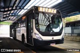 Visate - Viação Santa Tereza 463 na cidade de Caxias do Sul, Rio Grande do Sul, Brasil, por Carlos Gabriel. Número da foto: #6868601.