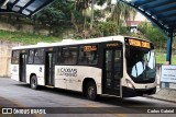 Visate - Viação Santa Tereza 466 na cidade de Caxias do Sul, Rio Grande do Sul, Brasil, por Carlos Gabriel. Número da foto: #6868624.