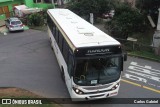 Viação Giratur 1420 na cidade de Caxias do Sul, Rio Grande do Sul, Brasil, por Carlos Gabriel. Número da foto: #6868714.